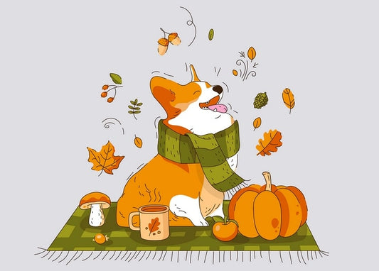 autumn illustrations