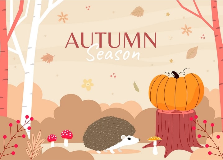 autumn illustrations