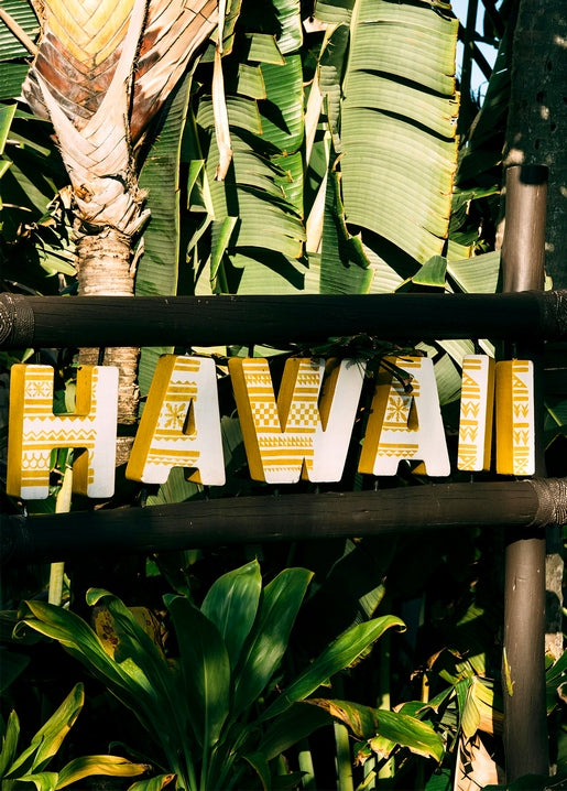 Wooden Hawaii sign framed by sunlit banana and palm leaves