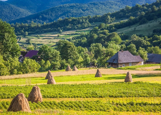 Kegelförmige Heuhaufen auf einer grünen Wiese vor einem Holzhaus in den Bergen
