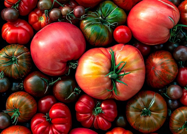 Nahaufnahme bunter Heirloom-Tomaten in Rot, Grün und gestreiften Sorten