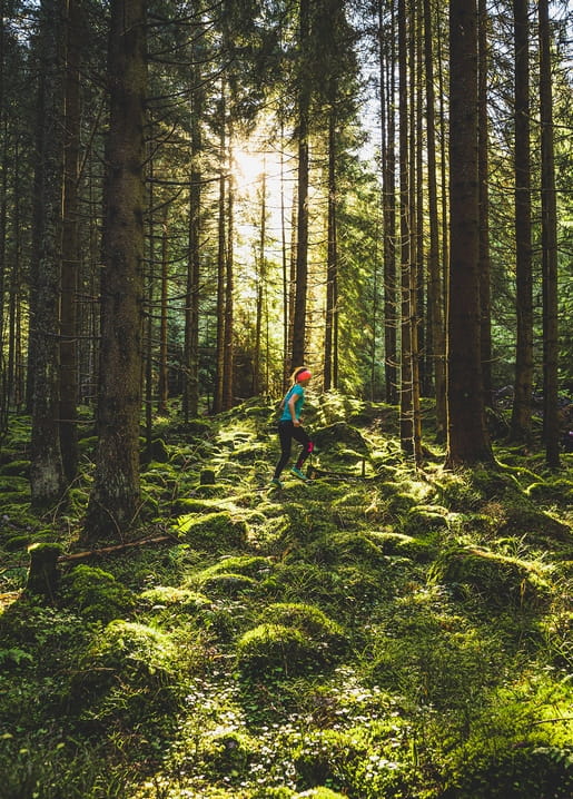 Wanderin geht durch moosigen Kiefernwald, Sonnenstrahlen brechen zwischen den Bäumen hindurch