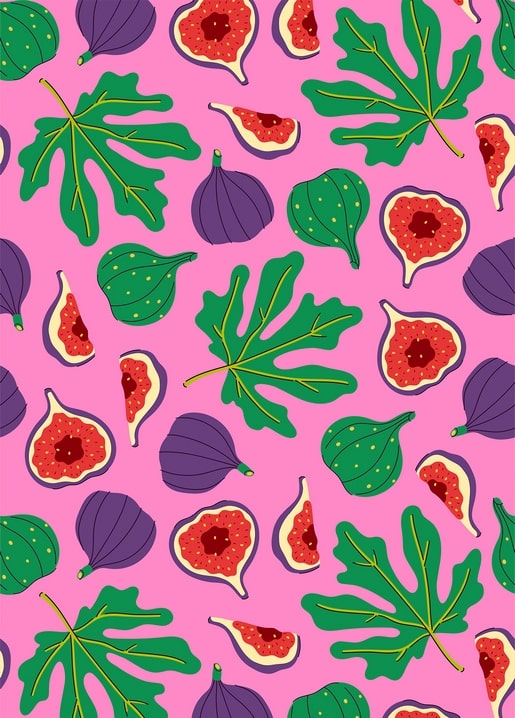 christmas illustration postcard