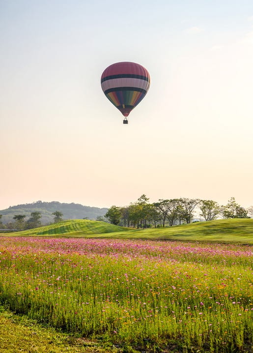 Gestreifter Heißluftballon schwebt über grünen Hügeln und einer rosa Wildblumenwiese bei Sonnenaufgang