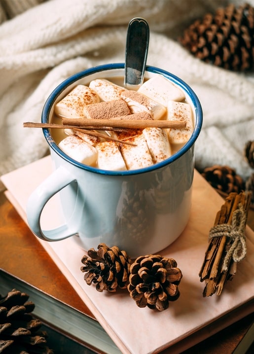 Enamel mug of hot cocoa topped with marshmallows and cinnamon, beside pinecones