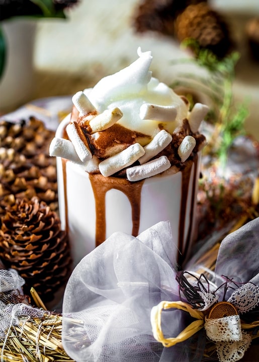 Mug of hot cocoa with whipped cream and marshmallows among pinecones, winter photo
