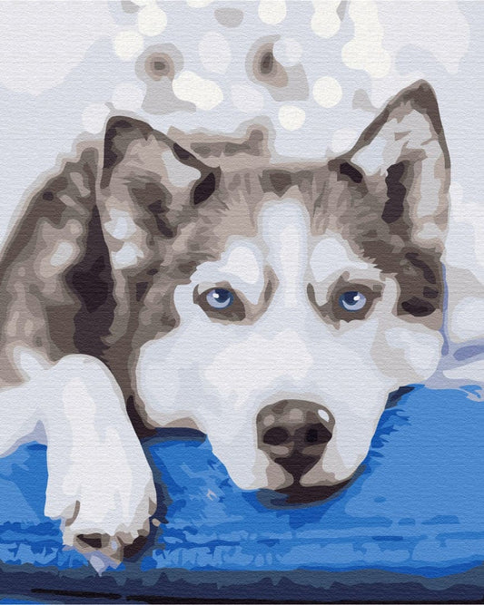 Close-up painting-by-numbers design of a husky puppy with blue eyes on a snowy bokeh background