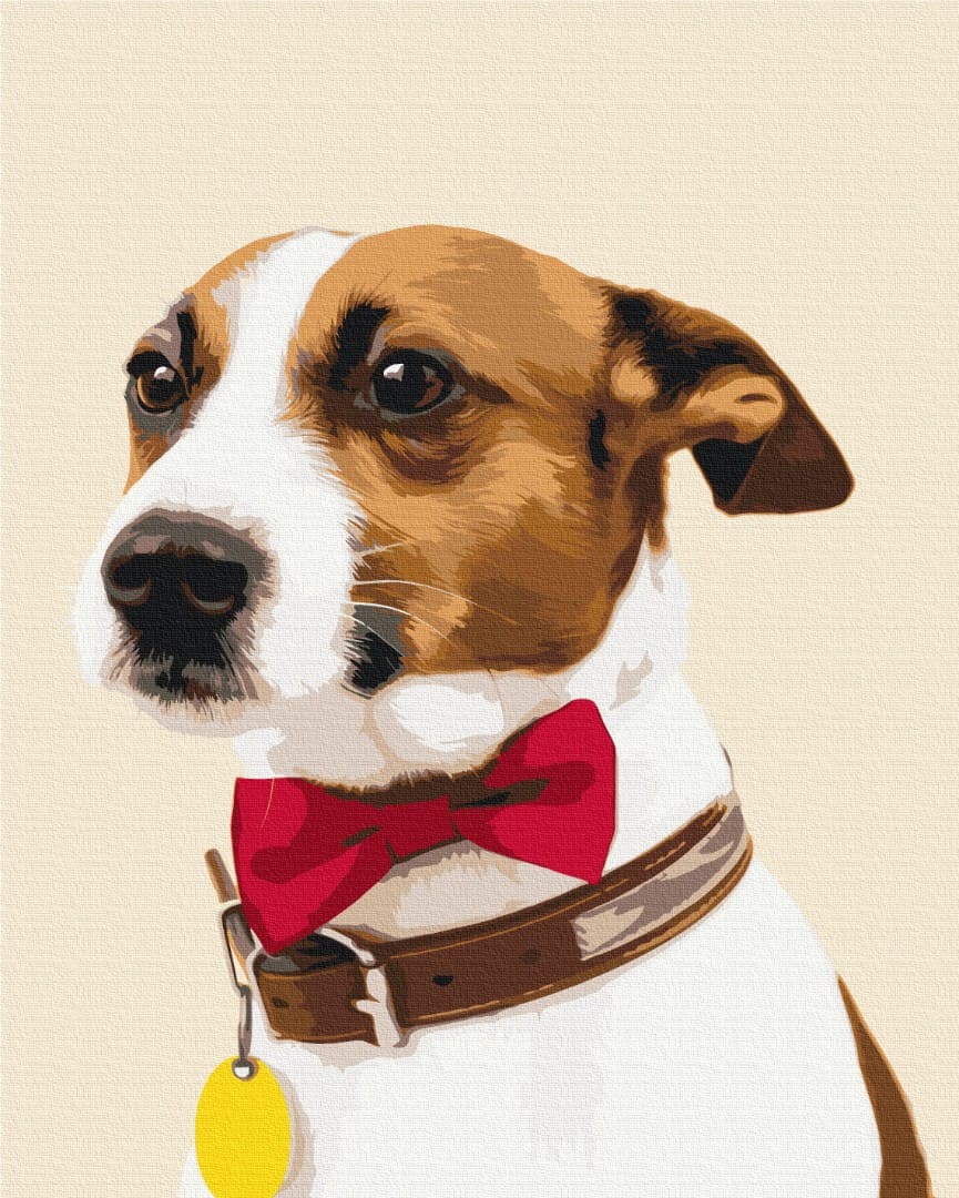 Jack Russell Terrier mit roter Fliege und Lederhalsband, Malen nach Zahlen