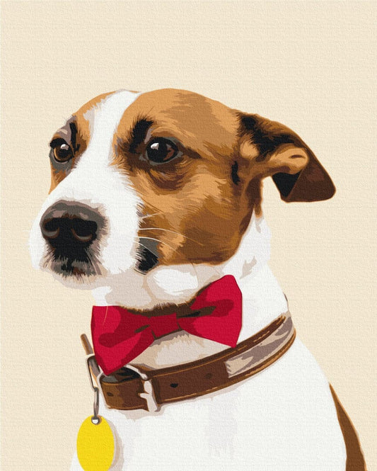 Jack Russell terrier portrait in red bow tie and leather collar, painting by numbers