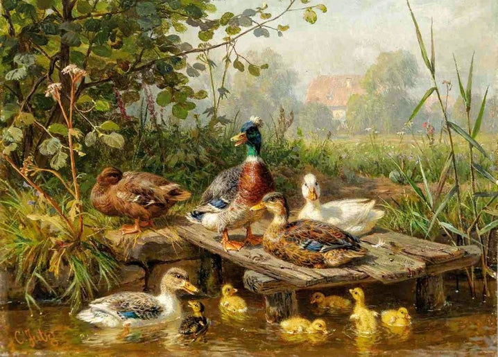 illustration of chicken with duck in nature, countryside