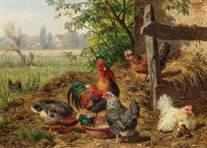 illustration of chicken with duck in nature, countryside