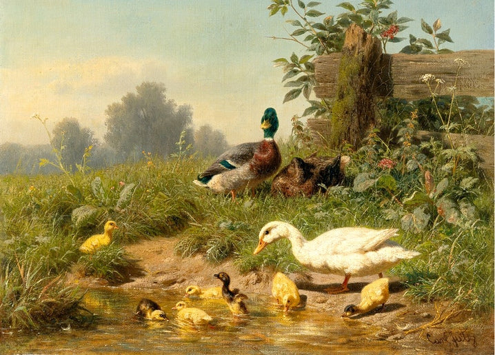 illustration of chicken with duck in nature, countryside