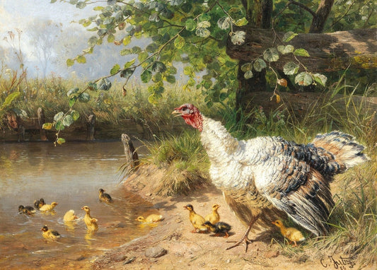 illustration of chicken with duck in nature, countryside