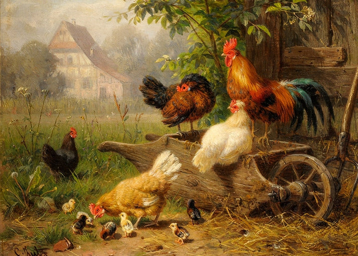 illustration of chicken with duck in nature, countryside