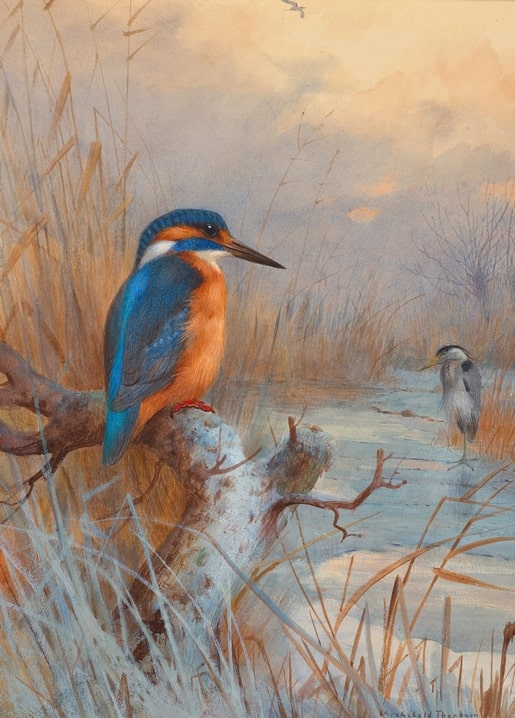 Kingfisher on a branch with a heron in a wetland winter scene by Archibald Thorburn