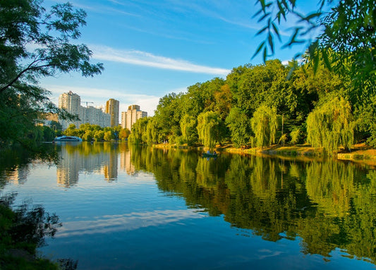 Willow trees and Kyiv high-rises reflected in a calm park lake in summer