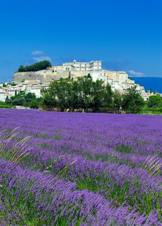Purple lavender field leading to a hilltop village with an old fortified building