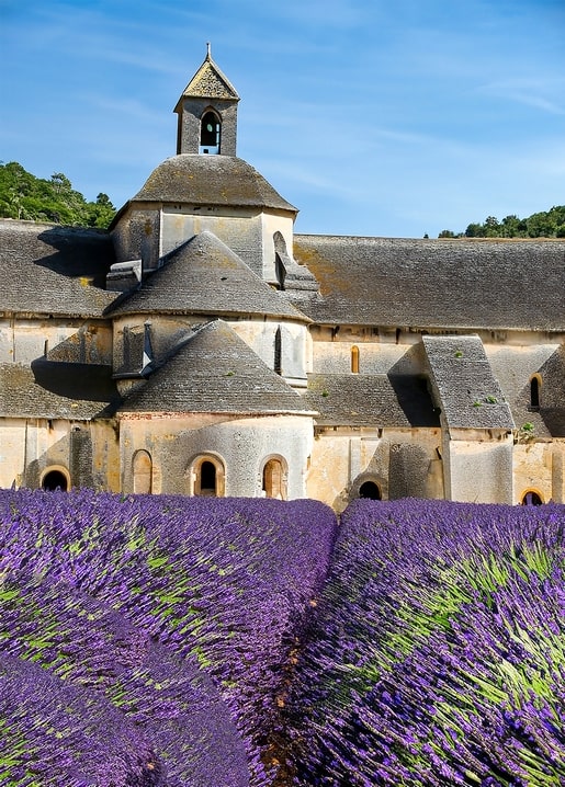 Lavender rows in front of a stone abbey with a bell tower in Provence