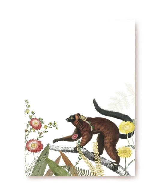 Lemur walking along a branch past pink and yellow wildflowers