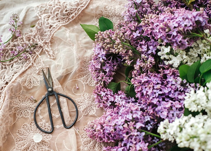 Purple and white lilac sprays on antique lace beside vintage scissors