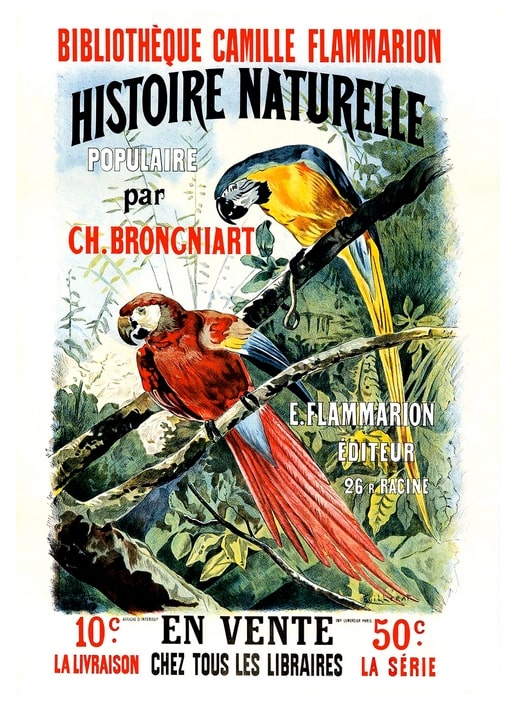 Vintage French book cover with a blue-and-yellow macaw and a scarlet macaw on jungle branches