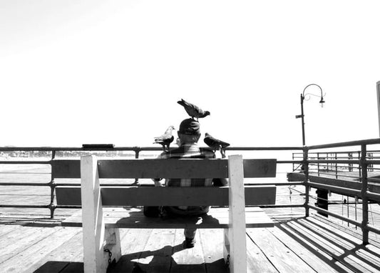 Man sitting on a pier bench with three seagulls perched on his head and shoulders