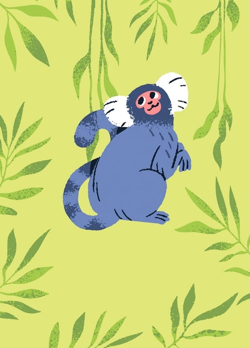 Illustrated blue-grey marmoset with white ear tufts among willow leaves