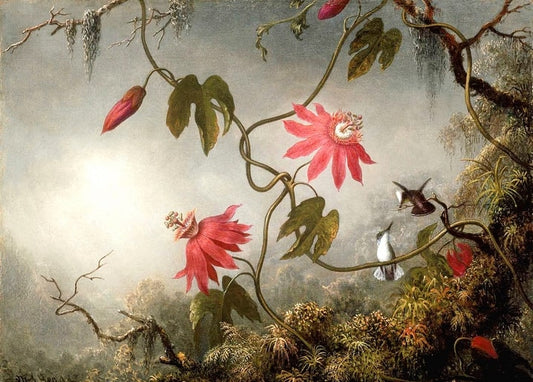 Gemälde von Martin Johnson Heade: rote Passionsblumen mit zwei Kolibris im tropischen Dunst