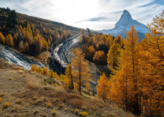 Roter Bergzug zwischen goldenen Lärchen vor dem schneebedeckten Matterhorn