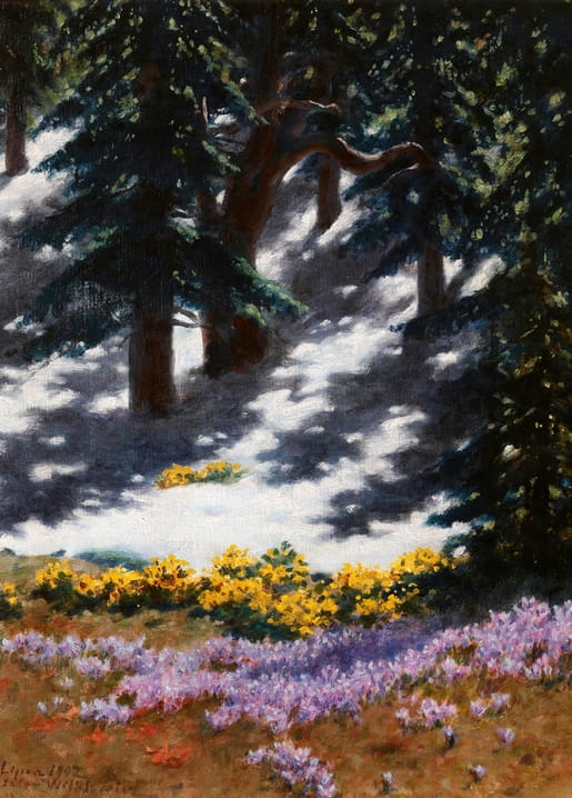 Oil painting of a pine forest with melting snow, purple crocuses and yellow marsh marigolds blooming