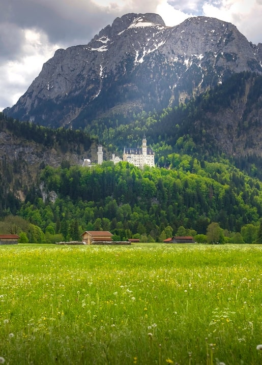 Neuschwanstein Castle framed by green forest and snow-capped Alps