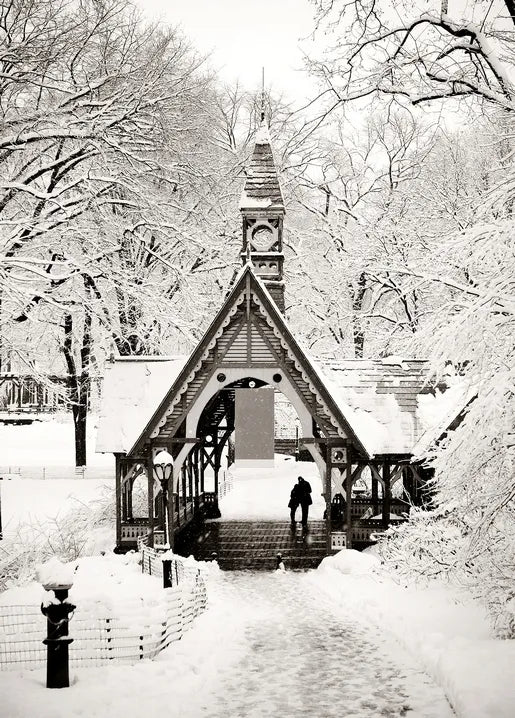 Winter Inspiration - Postcard
