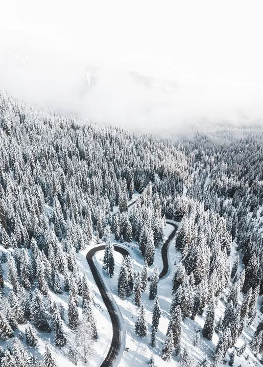Winter Inspiration - Postcard