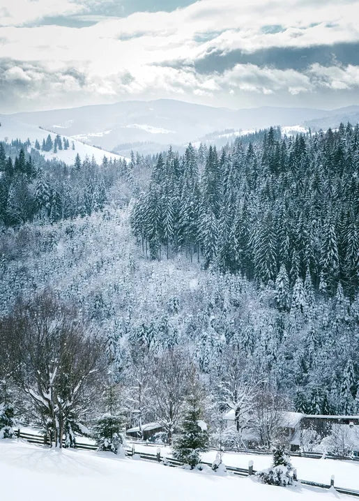 Winter Inspiration - Postcard