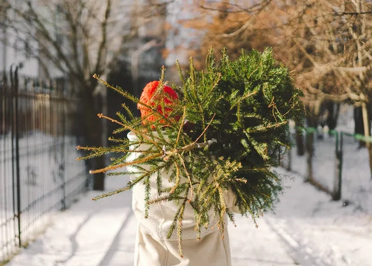 Winter Inspiration - Postcard