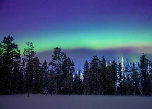 Winter Inspiration - Postcard
