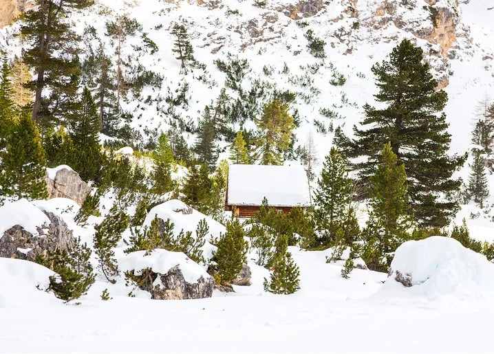 Winter Inspiration - Postcard