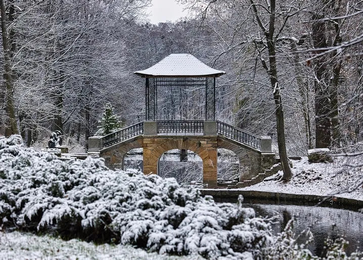 Winter Inspiration - Postcard