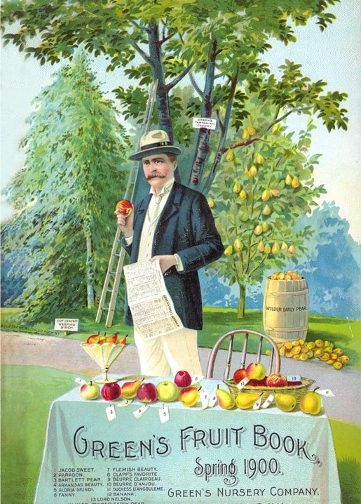 Well-dressed fruit seller with apples and pears at a table, orchard behind, 1900 fruit catalog cover