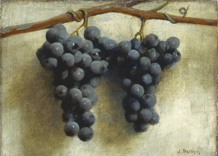 Joseph Decker's Grapes, c. 1890–1895, a still life of two dark grape clusters hanging from a vine