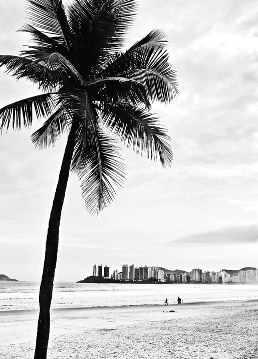 Silhouette einer Palme am Strand vor einer fernen Stadtsilhouette und zwei Spaziergängern