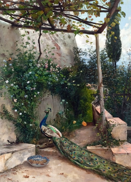 Painting of a peacock with tail spread on a rose-covered terrace near the Alhambra