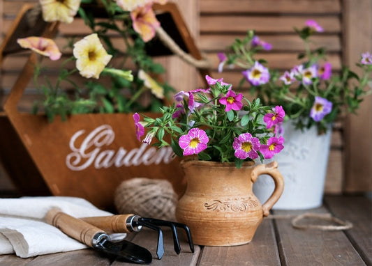 Pink and purple petunias in a ceramic jug beside garden tools and twine