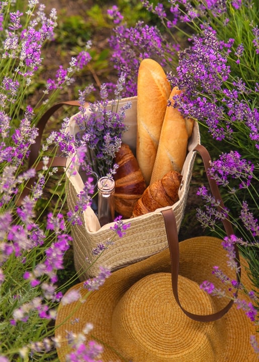Wicker picnic basket with baguettes, croissants and wine in a blooming lavender field, straw hat nearby