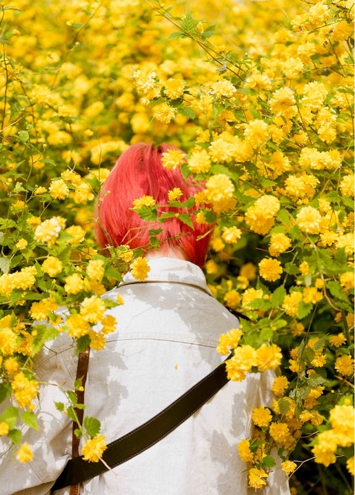 Person with pink hair seen from behind, surrounded by yellow blossoms