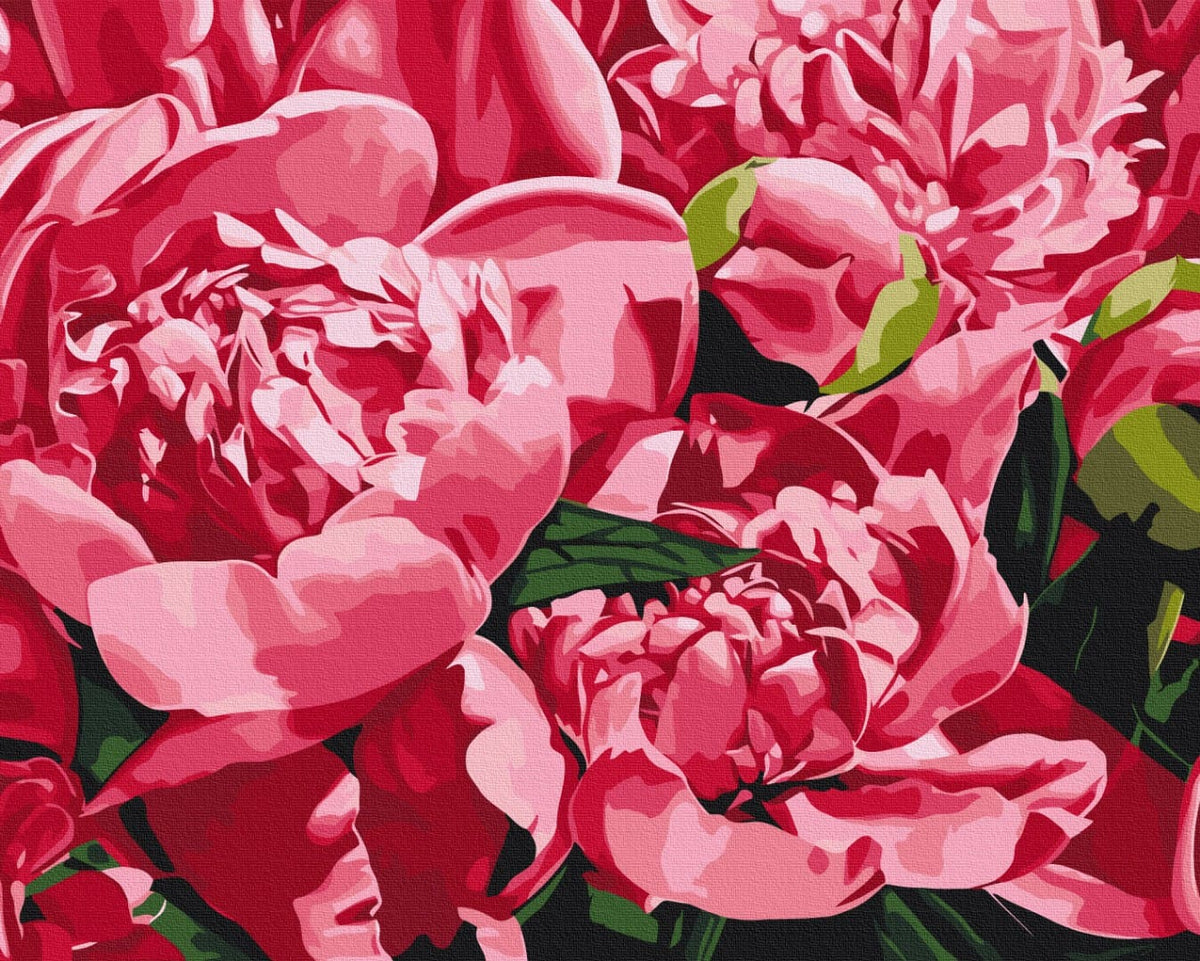 Malen-nach-Zahlen-Leinwand mit rosa Pfingstrosen nach Anastasiia Os’ „Frühlingsduft“
