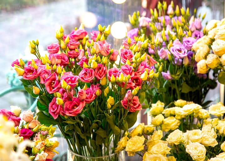 Bunches of pink, purple and yellow roses on display in a flower shop