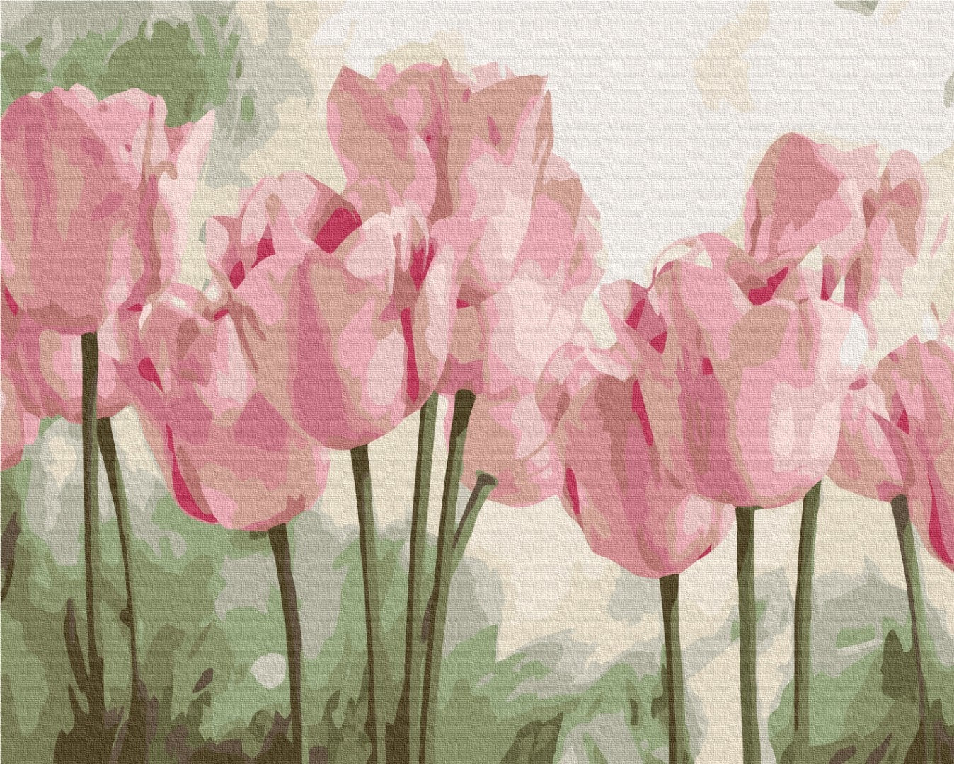 Painting-by-numbers design of pink tulip blooms in soft-focus close-up
