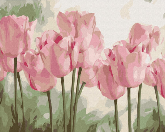 Painting-by-numbers design of pink tulip blooms in soft-focus close-up