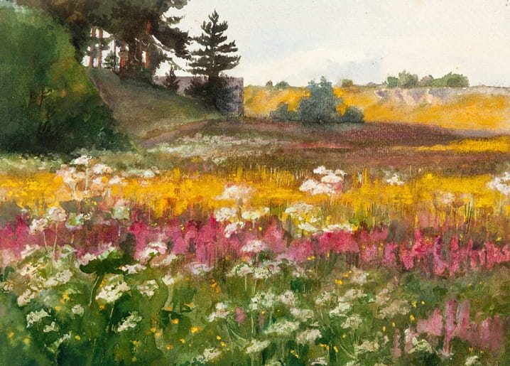 Watercolor meadow with white Queen Anne's lace and pink wildflowers below a golden hillside